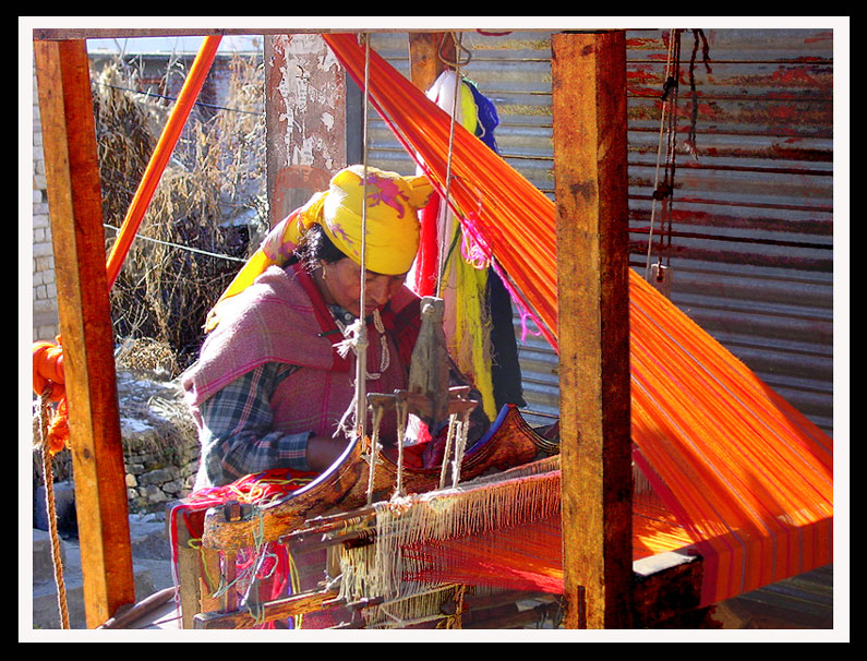 Weaver in Himachal Pradesh