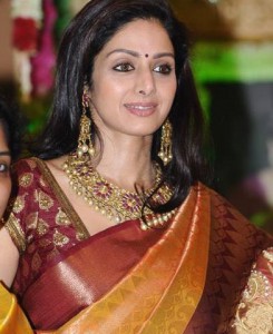 Sridevi in Kanchipuram Saree