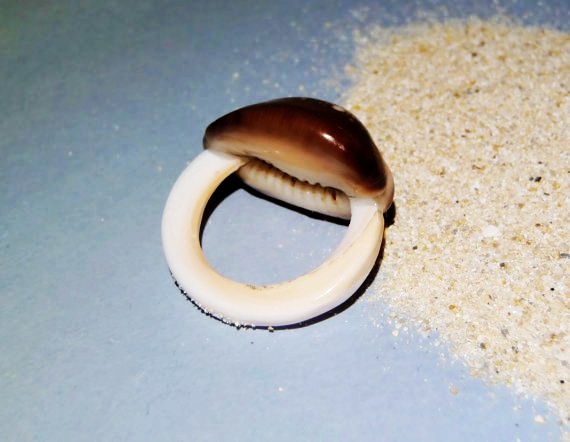 Cowrie Shell Ring