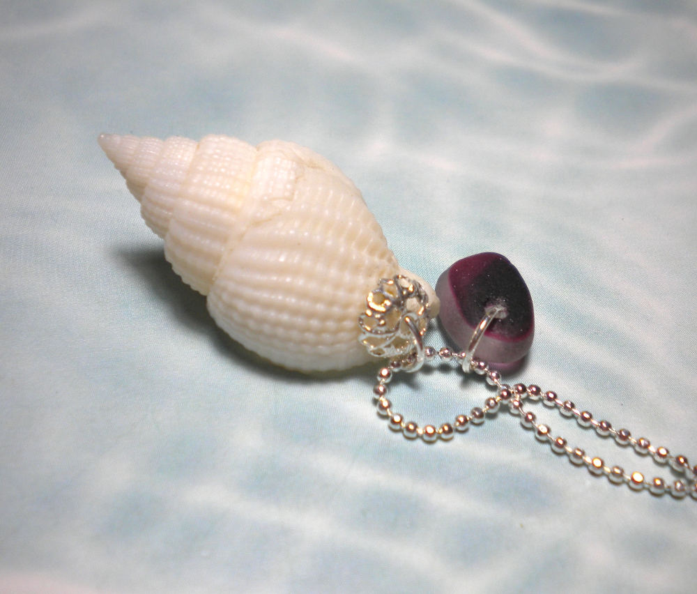 Seashell Seaglass Necklace (Source: delsshells.blogspot.in)