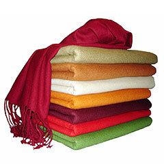 Plain Pashmina Shawls