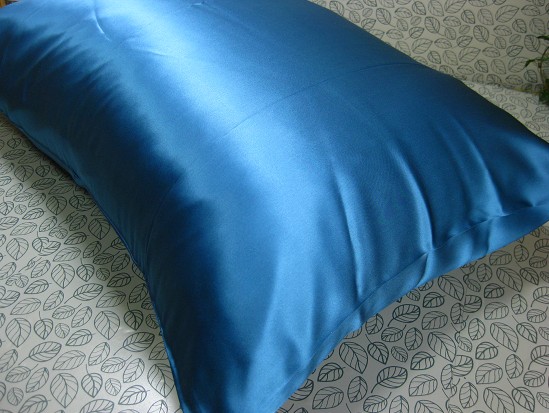 Luxury Mulberry Silk Pillow