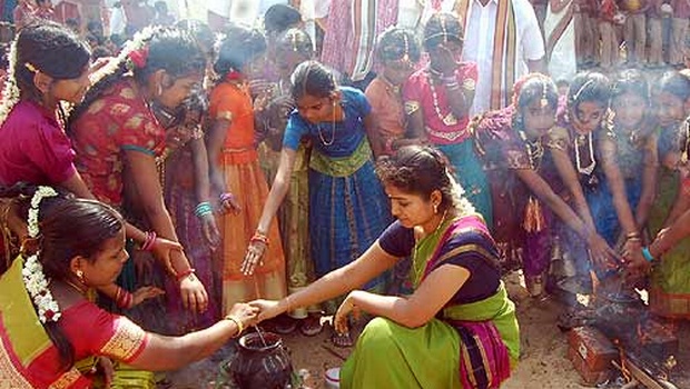 Pongal Celebration