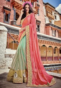 Half N Half Chiffon and Net Saree in Coral and Pastel Green