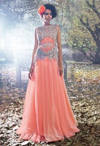 Embroidered Net Gown in Peach